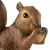 Charming Nibbling Squirrel Garden Statue - Perfect Outdoor Decor and Wildlife Ornament